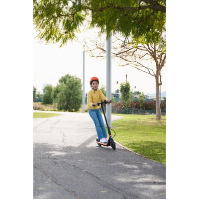 Ninebot eKickScooter C2