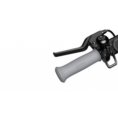 Ninebot eKickScooter C2