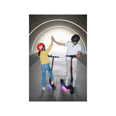 Ninebot eKickScooter C2